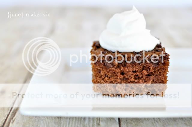 June Makes Six: Chocolate Applesauce Cake....recipe and photo tip
